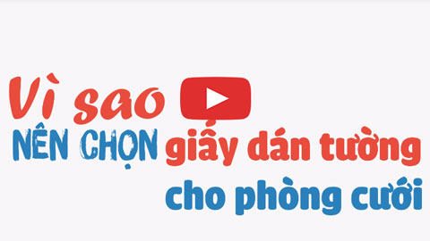 Những lý do nên chọn giấy dán tường cho phòng cưới, thiết kế nội thất phòng cưới by kiến trúc Doorway, ảnh Video tiêu biểu